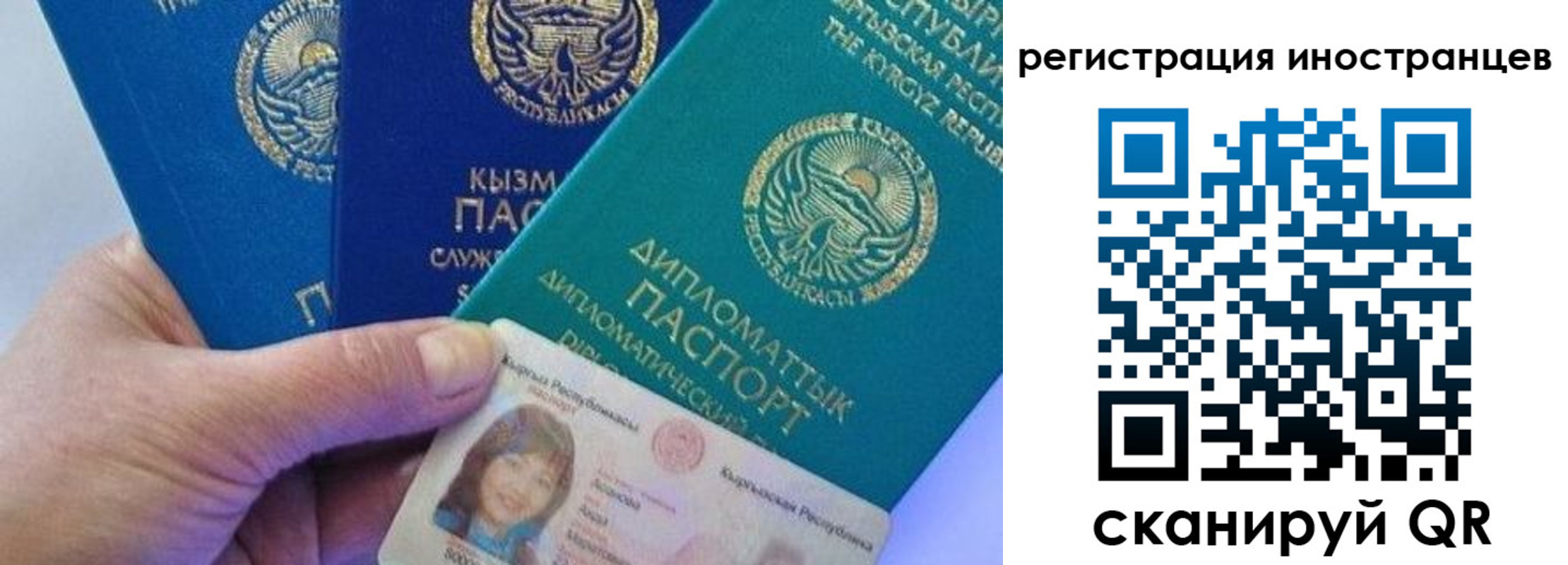 прописка в Боровичах